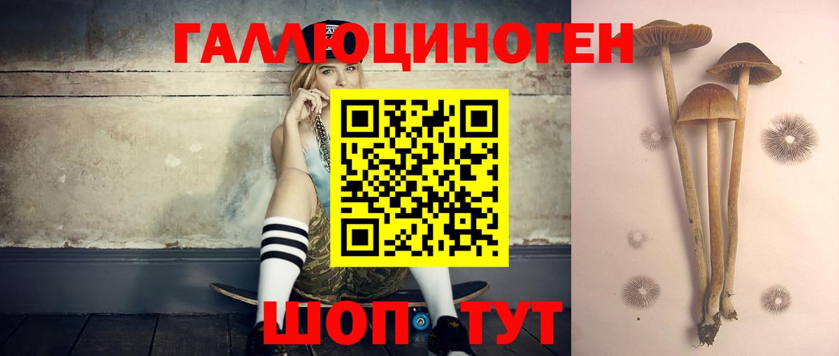 Электросталь  Псилоцибиновые грибы прущие грибы  Вход с VPN 